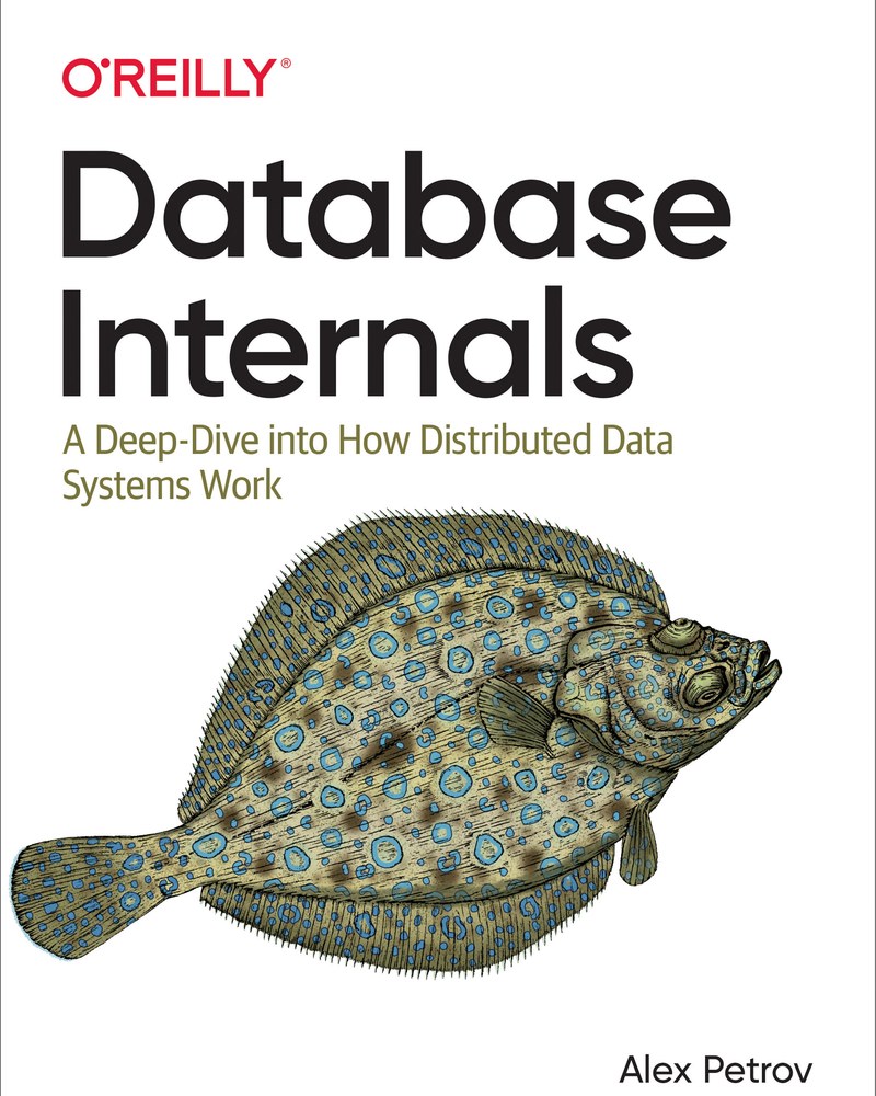 Database Internals