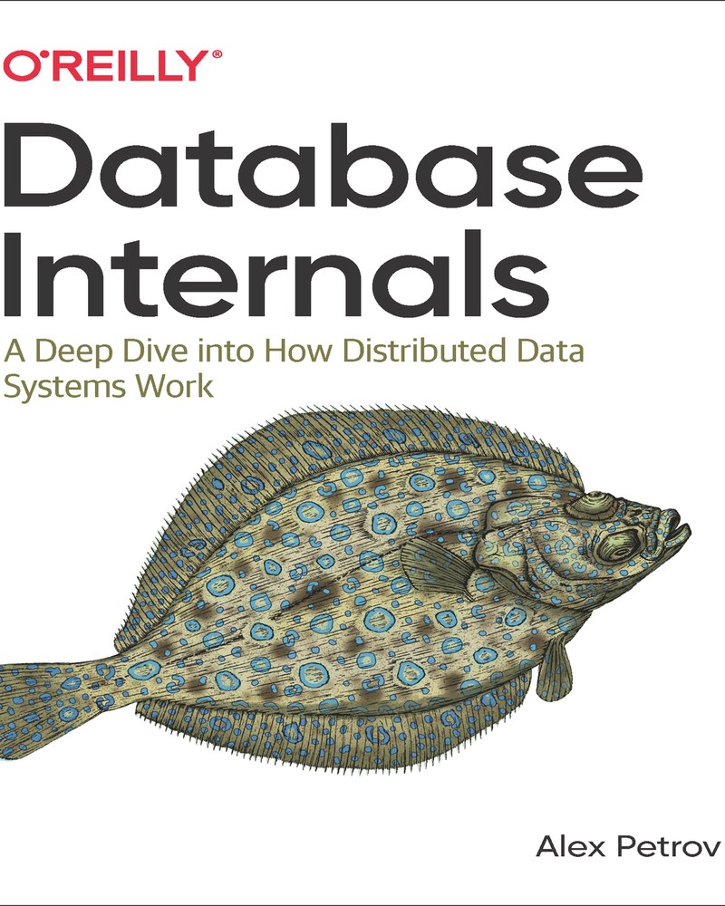 Database Internals